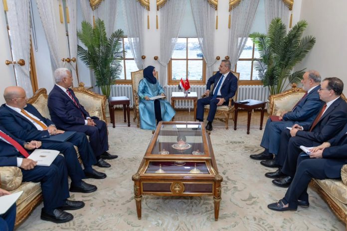 Yemen and Turkey discuss Houthi escalation